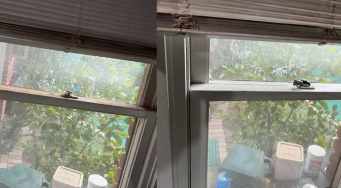 How Regular Cleaning Transformed This Bayswater Home？