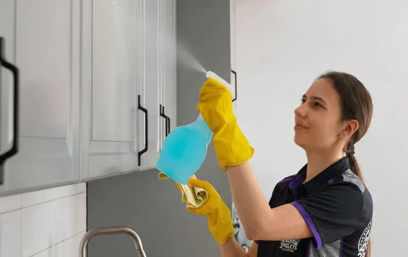 Regular Cleaning Services