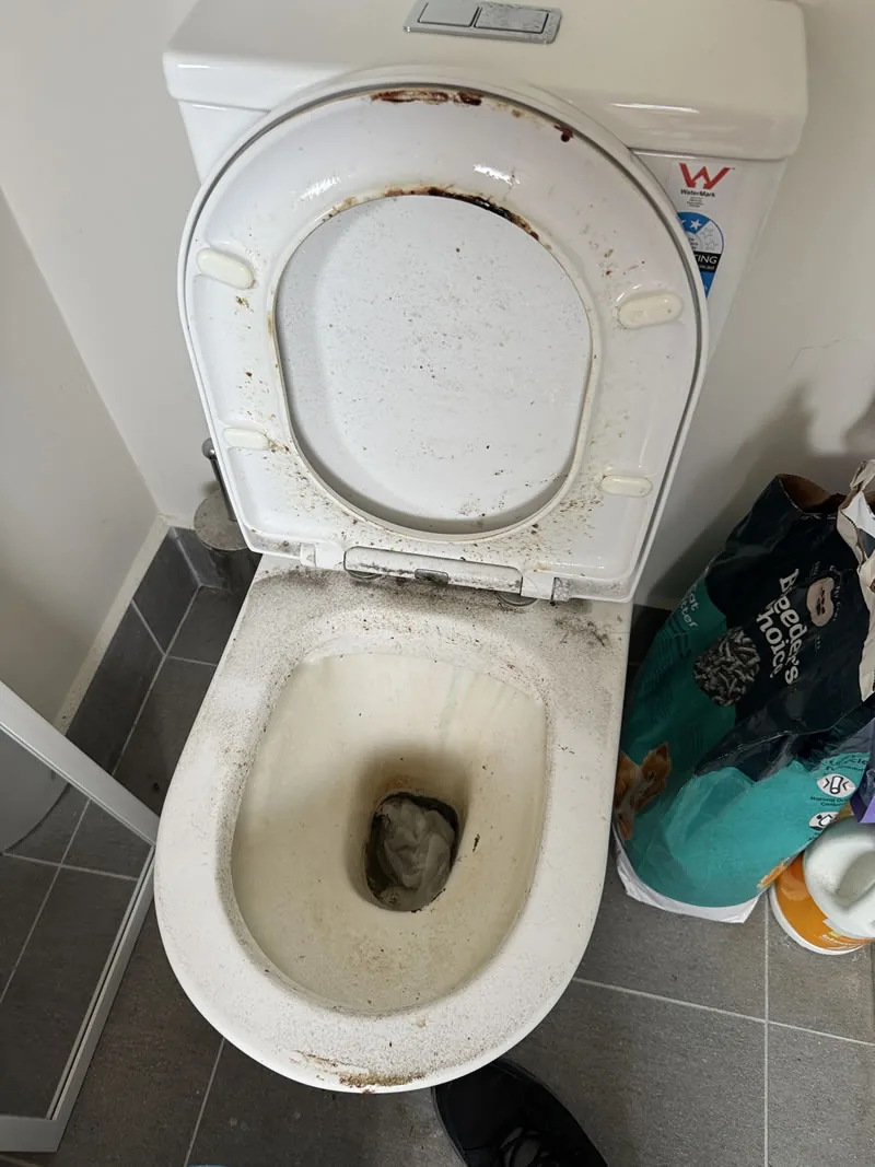 Toilet and surround before cleaning