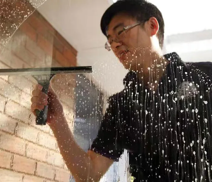 Windows and Gutter Cleaning