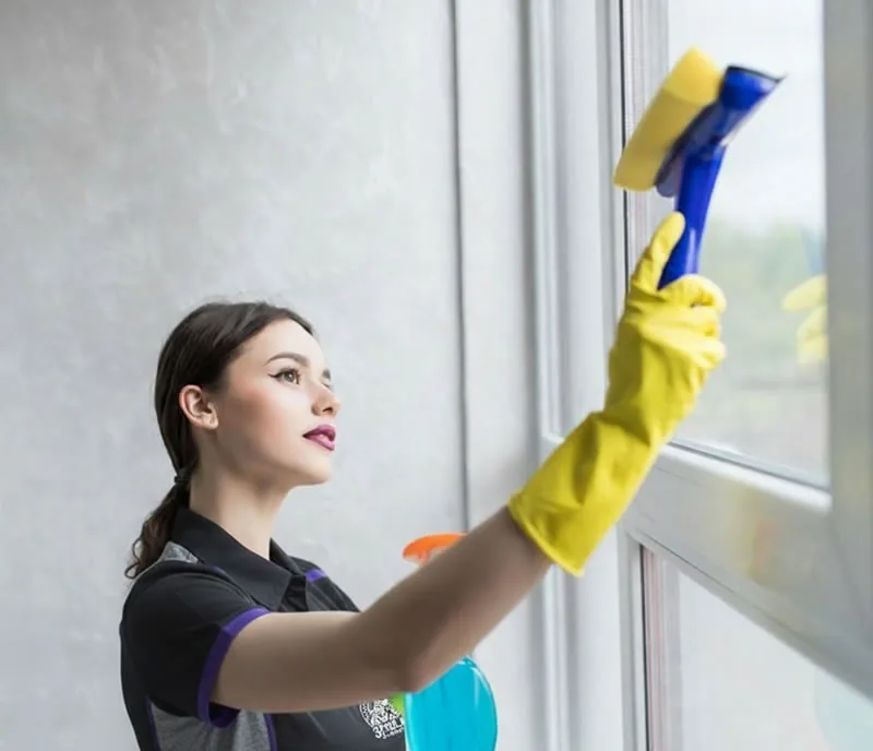 Windows and Gutter Cleaning
